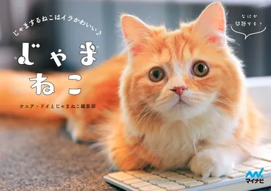 ケニア・ドイさんの写真集「じゃまねこ」(マイナビ出版)