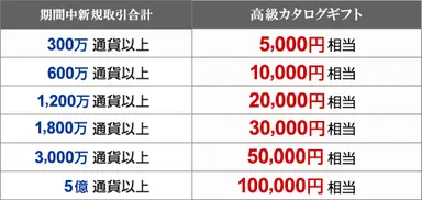 キャンペーン条件