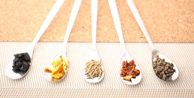 サイトイメージ