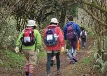 植物園スタッフと歩く山上散歩（イメージ）