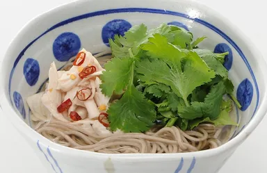 ベトナム風そば