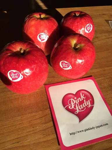 ピンクレディー