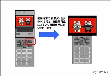 図解１ワイド対応イメージ