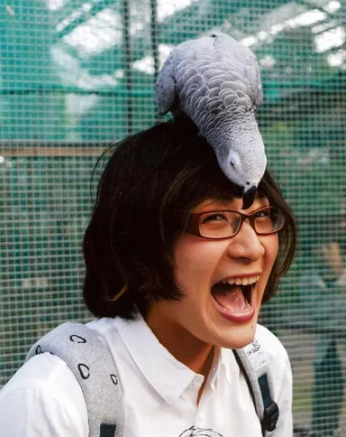 ロリキートランディングでヨウムと