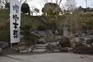 日本庭園形式の「桜樹木葬」風景
