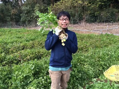 江口農園の栽培様子 (1)