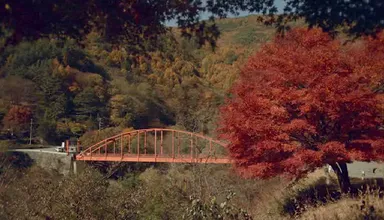 色鮮やかな秋の情景