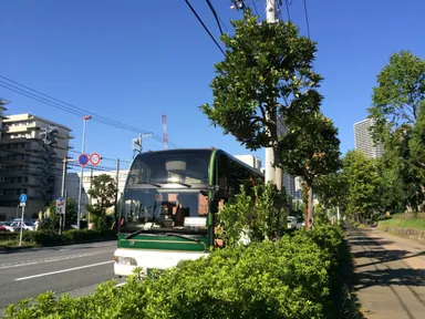 移動は大型バスで