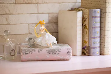 Figuartss Zero chouette(フィギュアーツ ゼロ シュエット) プリンセス・セレニティ(10)※画像はイメージです。