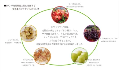 OPCサプライズ主成分