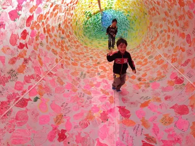 鯉のぼりの通り抜け