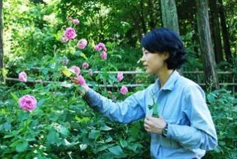 ローズウオーク・フラワーガイド