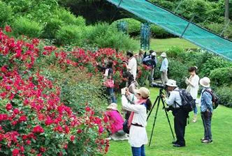 ローズウオーク写真教室