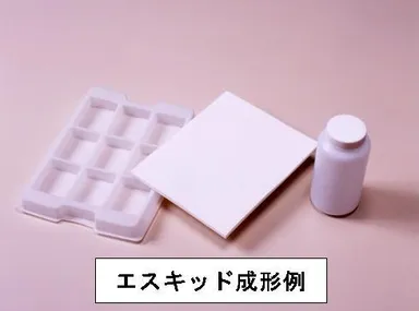 エスキッド成形例