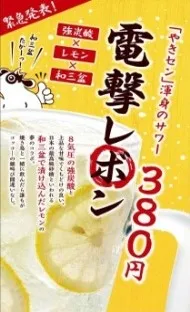 強炭酸×レモン× 和三盆のおいしさ 【電撃レボン】 380円（税抜）