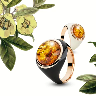 ハウスオブアンバー　商品イメージ1