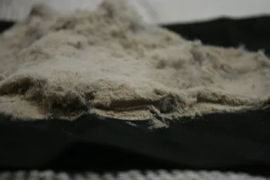 吸い取ったハウスダスト 2