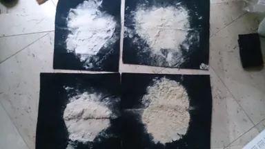 吸い取ったハウスダスト 3