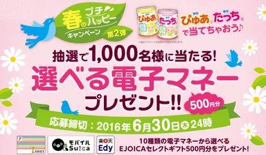 「選べる電子マネープレゼント キャンペーン」