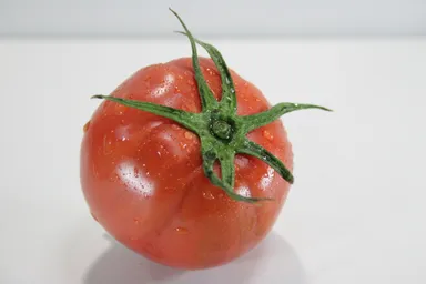 徳谷トマト52番みずみずしい