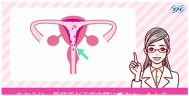 「ソフィ はじめてからだTV」　動画イメージ2