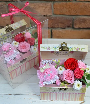 右：プードル 左：猫