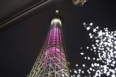 REALBBQ PARK 押上(2)