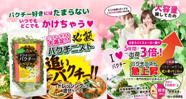 ドライパクチー イメージ