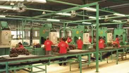 タイ・サトゥン工場の生産ライン