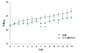 グラフ：ロイコ菌EPS投与による体重の増減