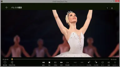 「DiXiM SeeQVault Play」再生画面イメージ