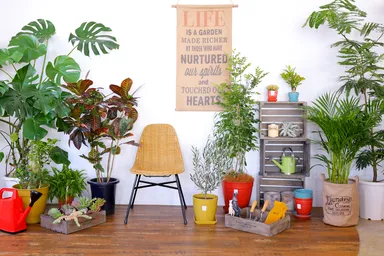 グリーンとタペストリー