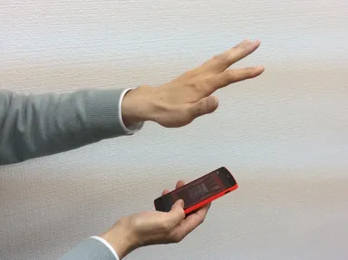 モバイル静脈認証