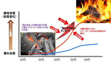 隠れ炎症からはじまる肌老化