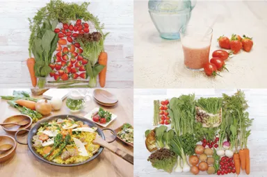 「ハルタベル“旬野菜セット”」、「ハルタベル“スムージーセット”」