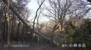 厚木市の日本最長の滑り台