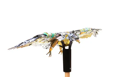 2015年度 中学生の部 グランプリ「命を拾ったオオワシ」