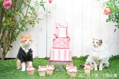 出展予定作品(2)