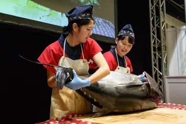 2015年デモンストレーション