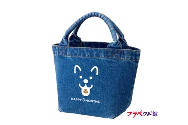 100名様にミニデニムトートバッグプレゼント