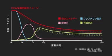高いパフォーマンスを実現