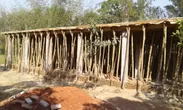建設中の学校1(写真提供：ワールド・ビジョン・ジャパン)