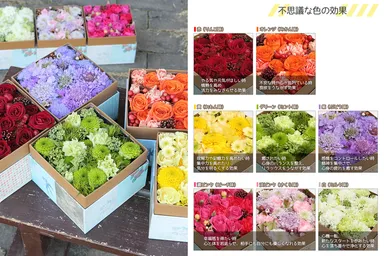 キャンディボックスアレンジメント