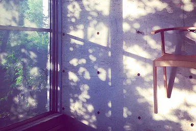 haaz shop　月桂樹の庭の木漏れ日