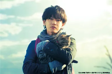 映画『世界から猫が消えたなら』