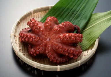 【南海】田尻のうまいもん・泉だこ