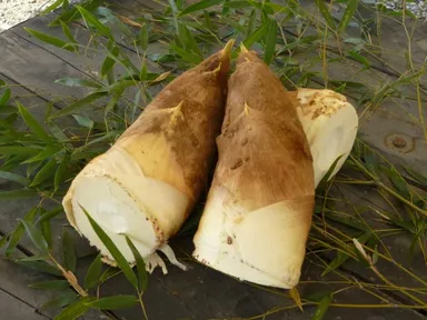 【京阪】八幡のうまいもん・たけのこ