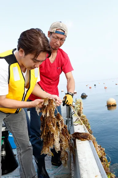 北海道現地の浜との連携