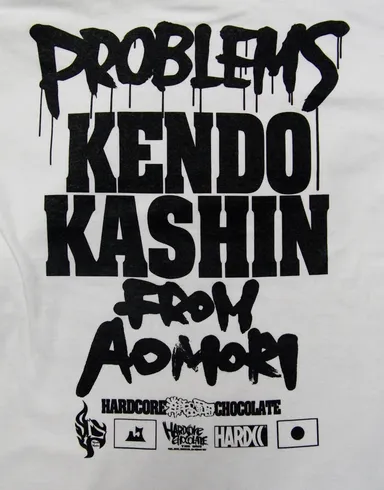 PROBLEMS FROM AOMORI(ケンドー・カシン)腕ひしぎ逆十字ホワイト 4