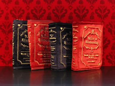 商品イメージ(ブック型ポーチ)